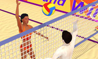 Summer Sports: Beach Volleyball